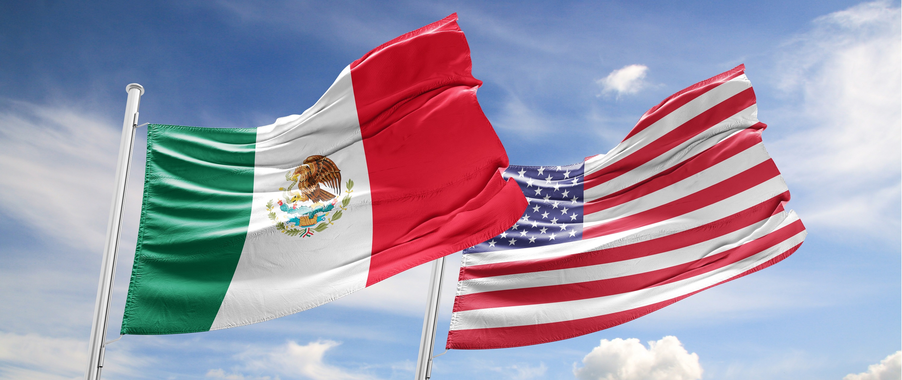 Mexican + American Flag